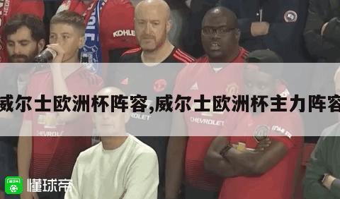 威尔士欧洲杯阵容,威尔士欧洲杯主力阵容