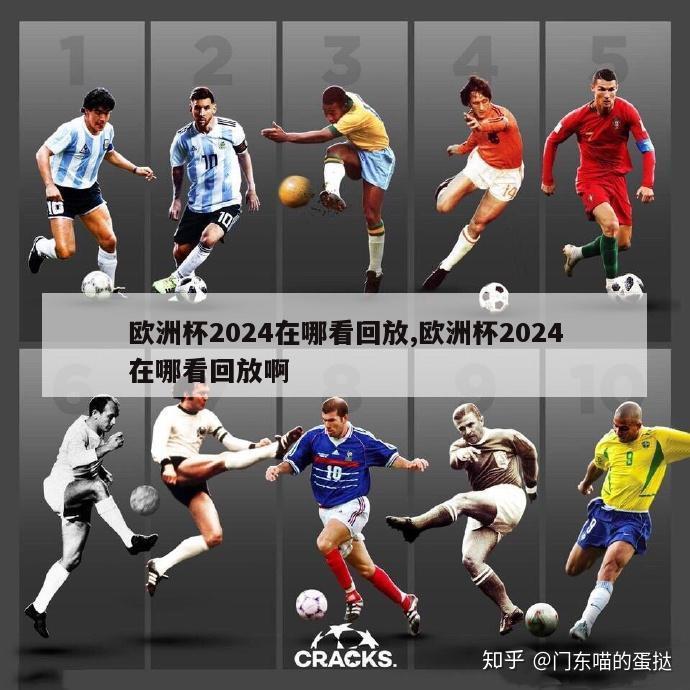 欧洲杯2024在哪看回放,欧洲杯2024在哪看回放啊