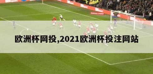 欧洲杯网投,2021欧洲杯投注网站