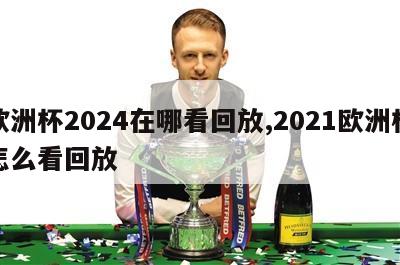 欧洲杯2024在哪看回放,2021欧洲杯怎么看回放