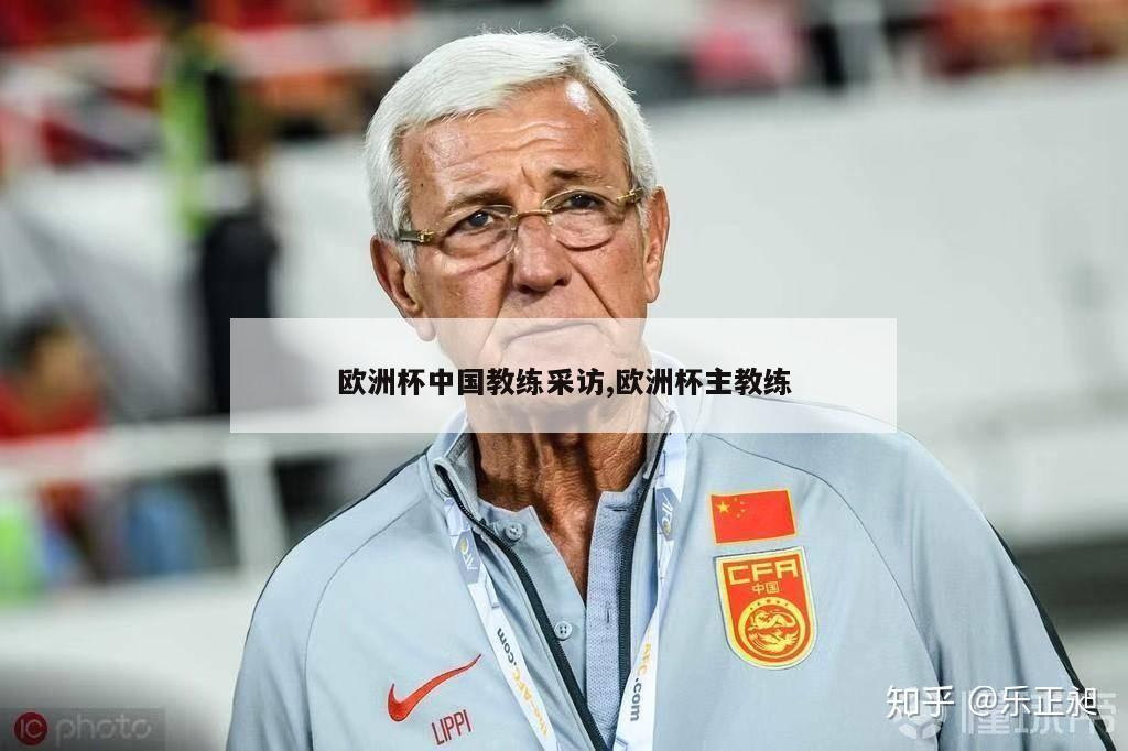 欧洲杯中国教练采访,欧洲杯主教练