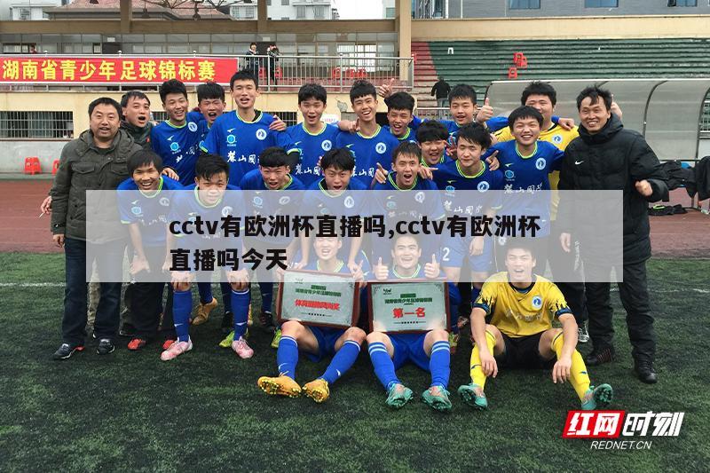 cctv有欧洲杯直播吗,cctv有欧洲杯直播吗今天