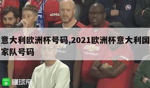 意大利欧洲杯号码,2021欧洲杯意大利国家队号码