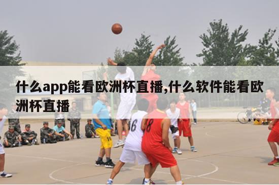 什么app能看欧洲杯直播,什么软件能看欧洲杯直播