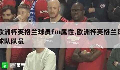 欧洲杯英格兰球员fm属性,欧洲杯英格兰足球队队员