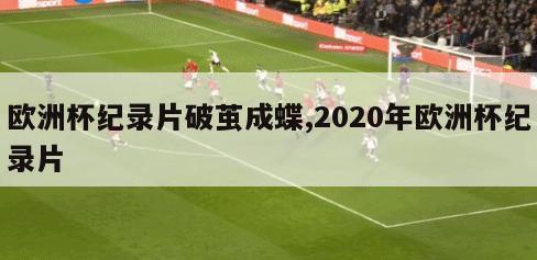 欧洲杯纪录片破茧成蝶,2020年欧洲杯纪录片