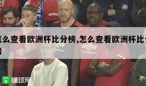 怎么查看欧洲杯比分榜,怎么查看欧洲杯比分榜