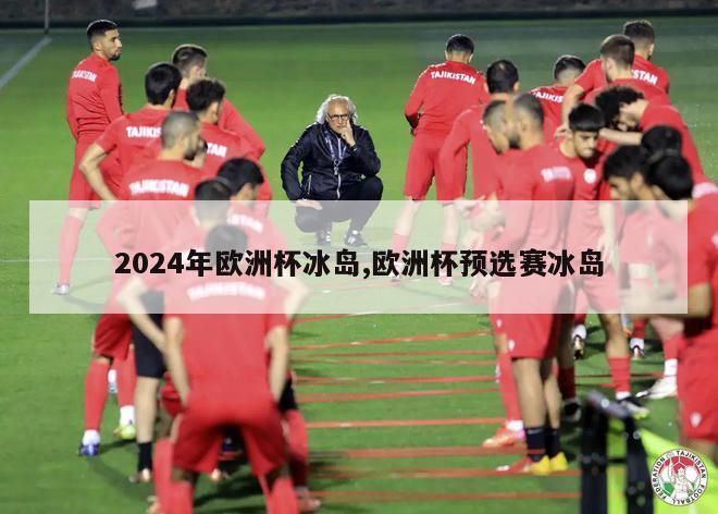 2024年欧洲杯冰岛,欧洲杯预选赛冰岛