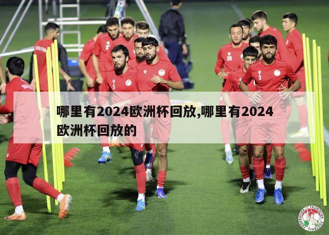 哪里有2024欧洲杯回放,哪里有2024欧洲杯回放的