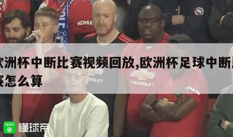 欧洲杯中断比赛视频回放,欧洲杯足球中断比赛怎么算