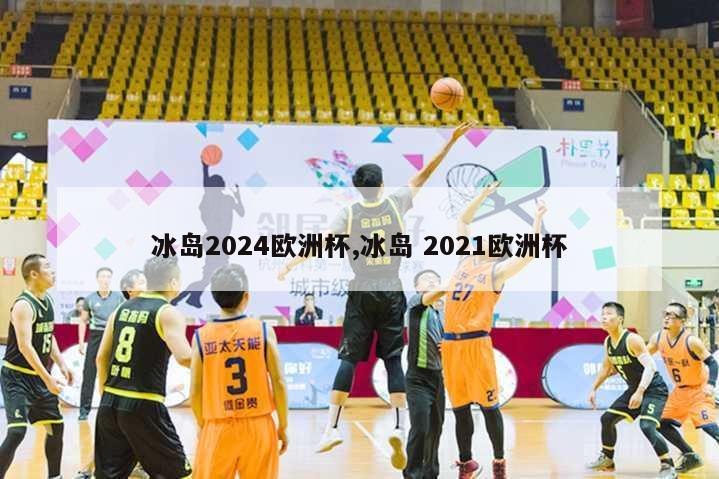 冰岛2024欧洲杯,冰岛 2021欧洲杯