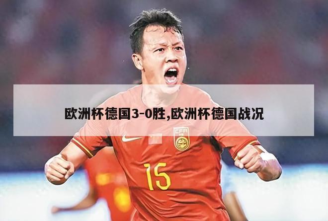 欧洲杯德国3-0胜,欧洲杯德国战况