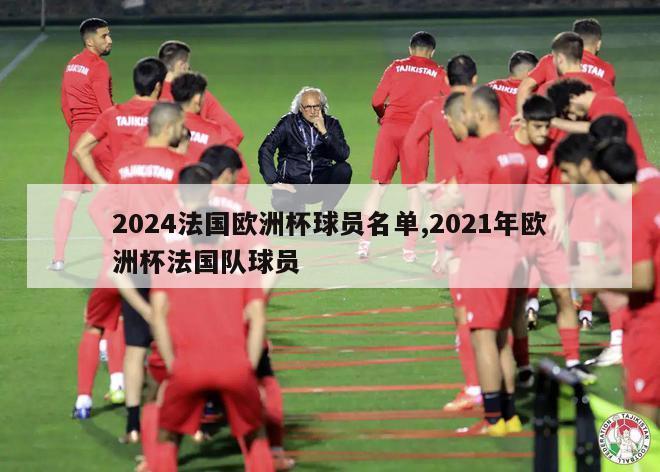 2024法国欧洲杯球员名单,2021年欧洲杯法国队球员