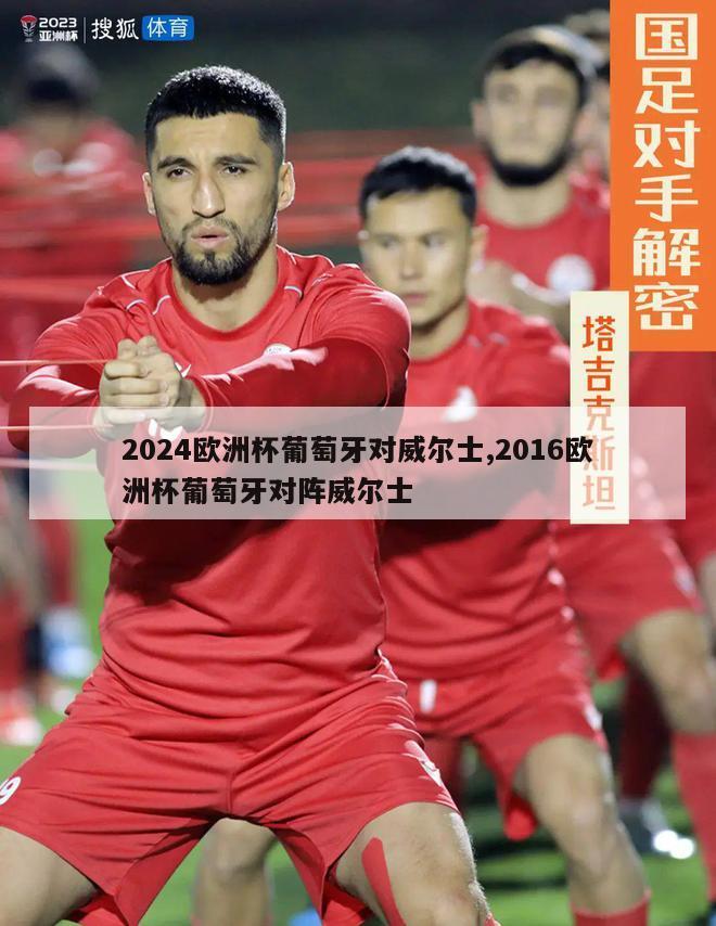 2024欧洲杯葡萄牙对威尔士,2016欧洲杯葡萄牙对阵威尔士