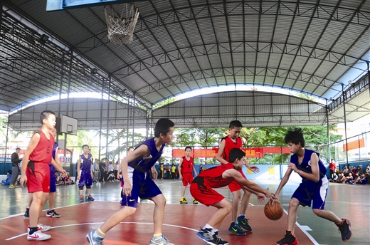 中央五台现场直播nba