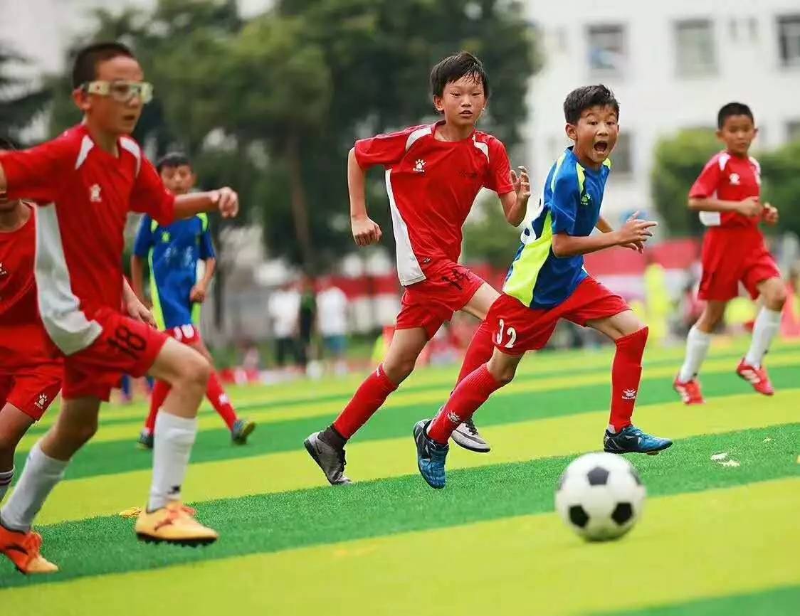 泰山队与梅州客家、北京国安、沧州雄狮同组