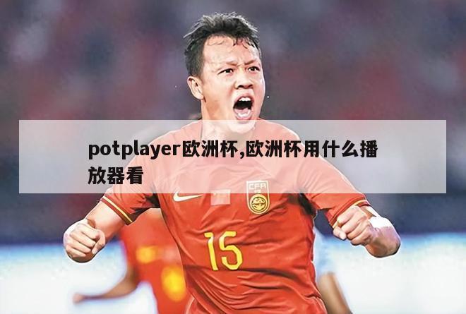 potplayer欧洲杯,欧洲杯用什么播放器看