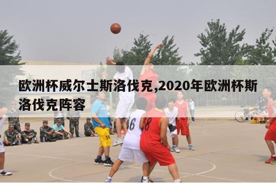 欧洲杯威尔士斯洛伐克,2020年欧洲杯斯洛伐克阵容