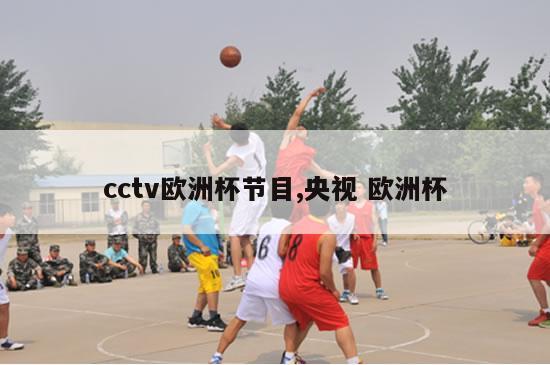 cctv欧洲杯节目,央视 欧洲杯