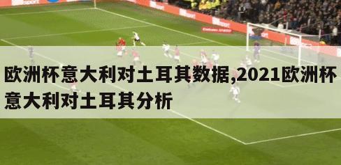 欧洲杯意大利对土耳其数据,2021欧洲杯意大利对土耳其分析